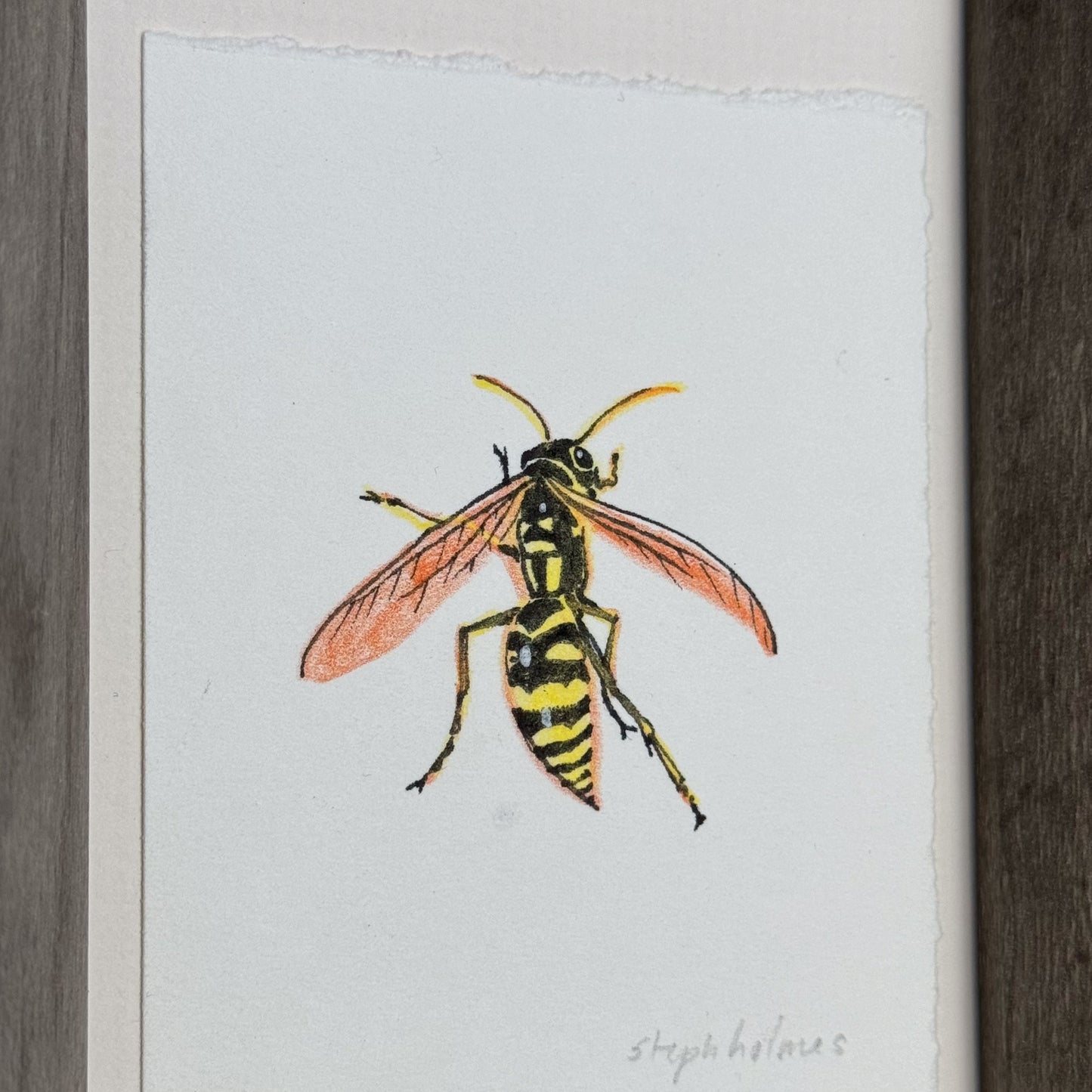 Hornet framed painting
