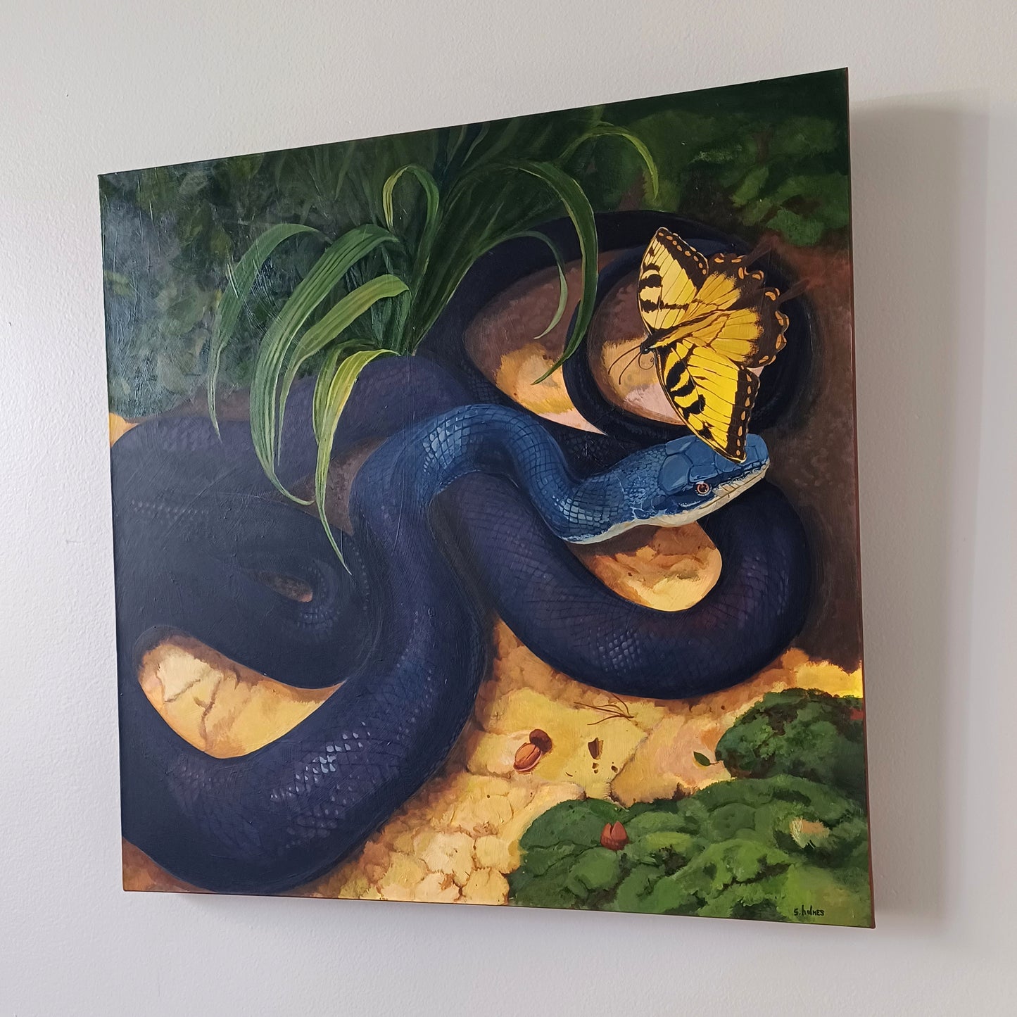 The Swallowtail and the Black Rat Snake original painting on canvas