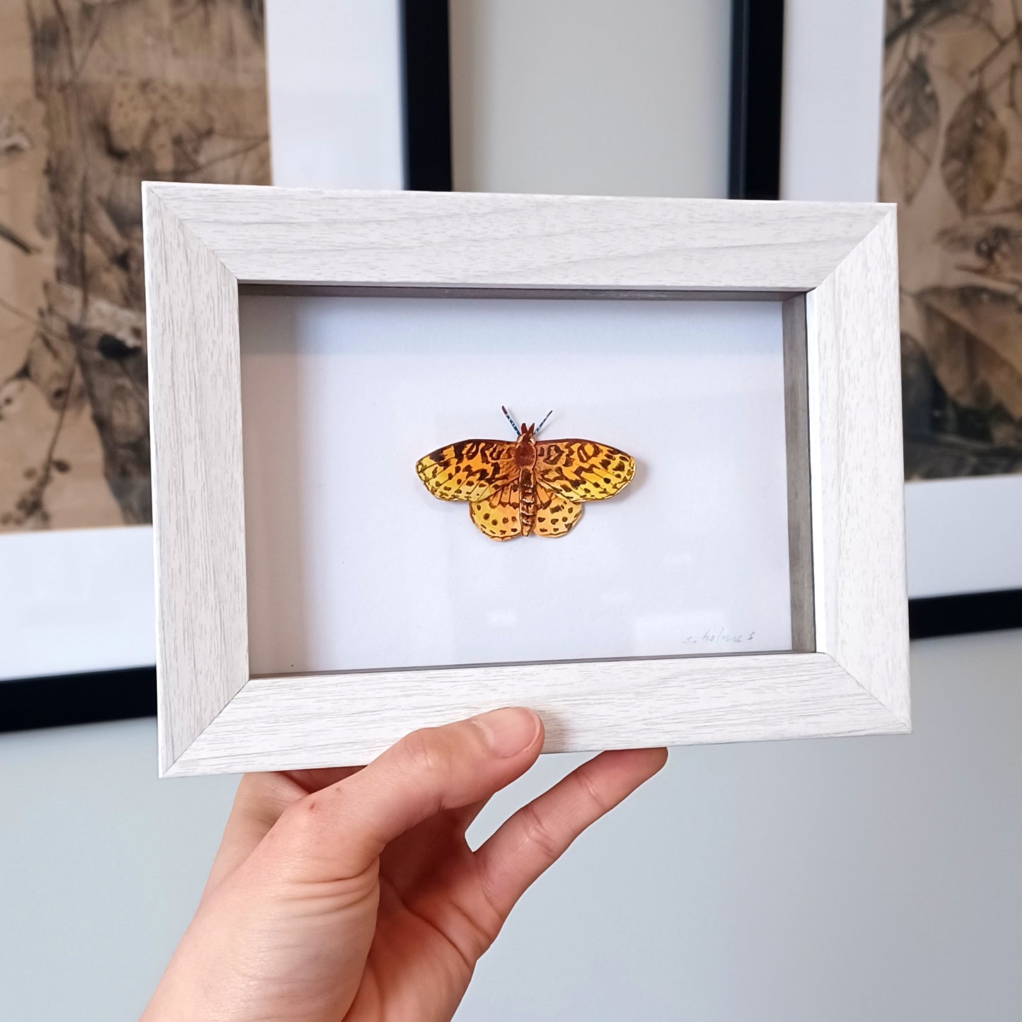 Meadow Fritillary Butterfly framed painted paper sculpture