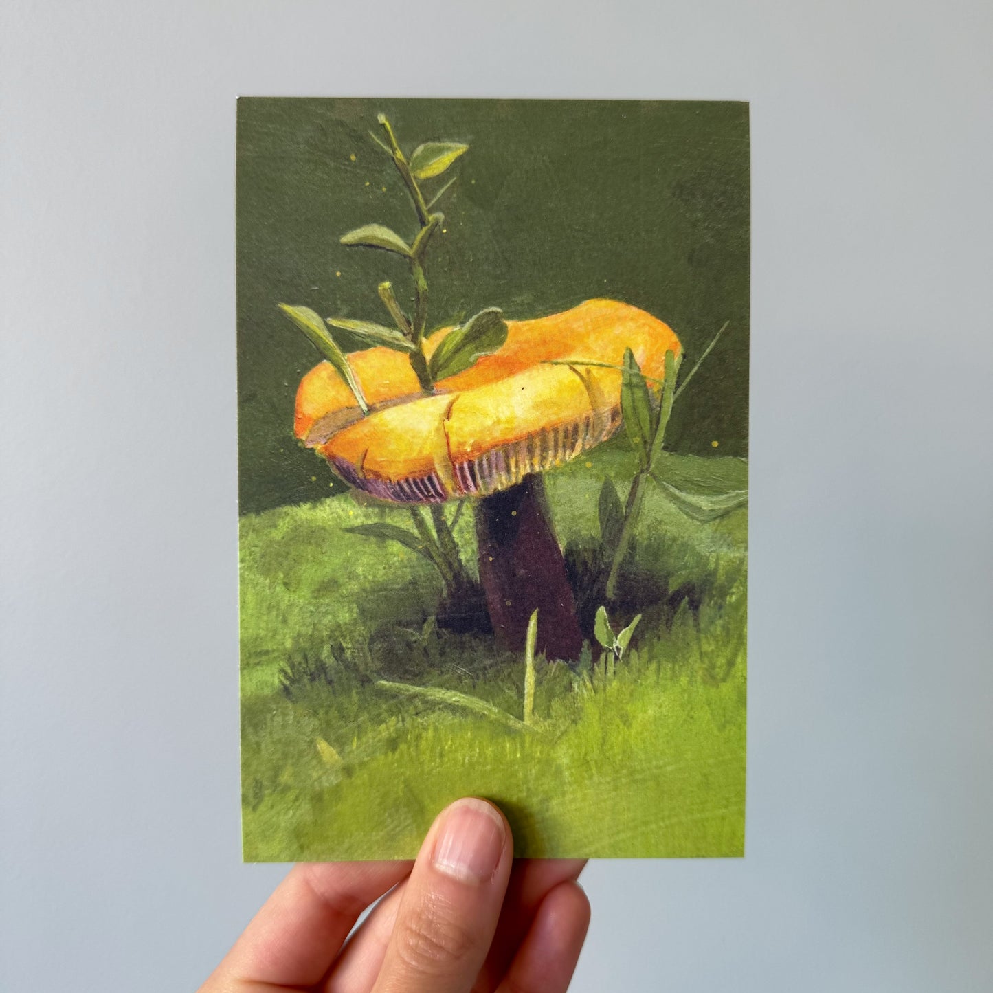 Golden Wax Cap Mushroom 5 recycled art postcards set