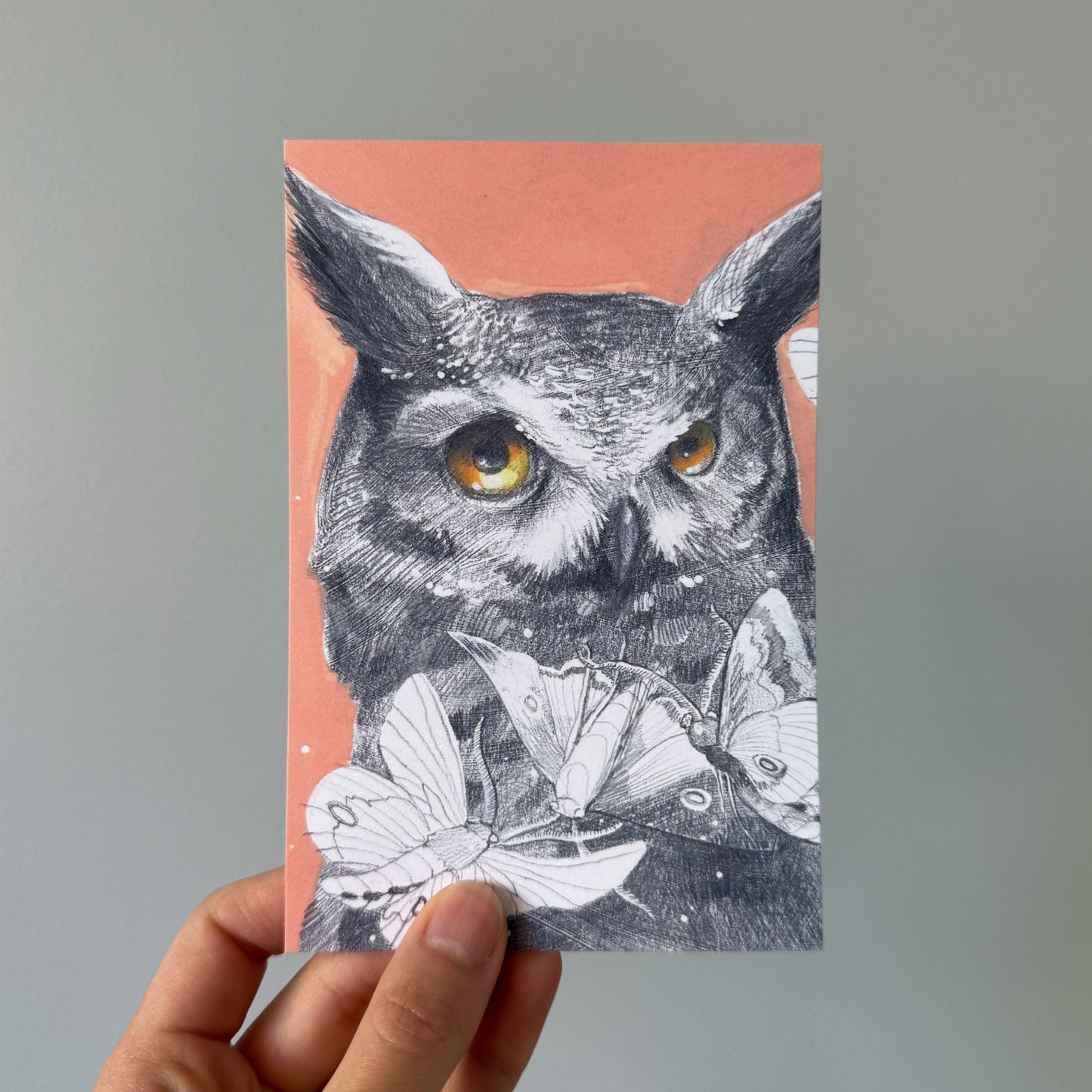 Dream Visitors: Owl and Moths 5 recycled art postcards set