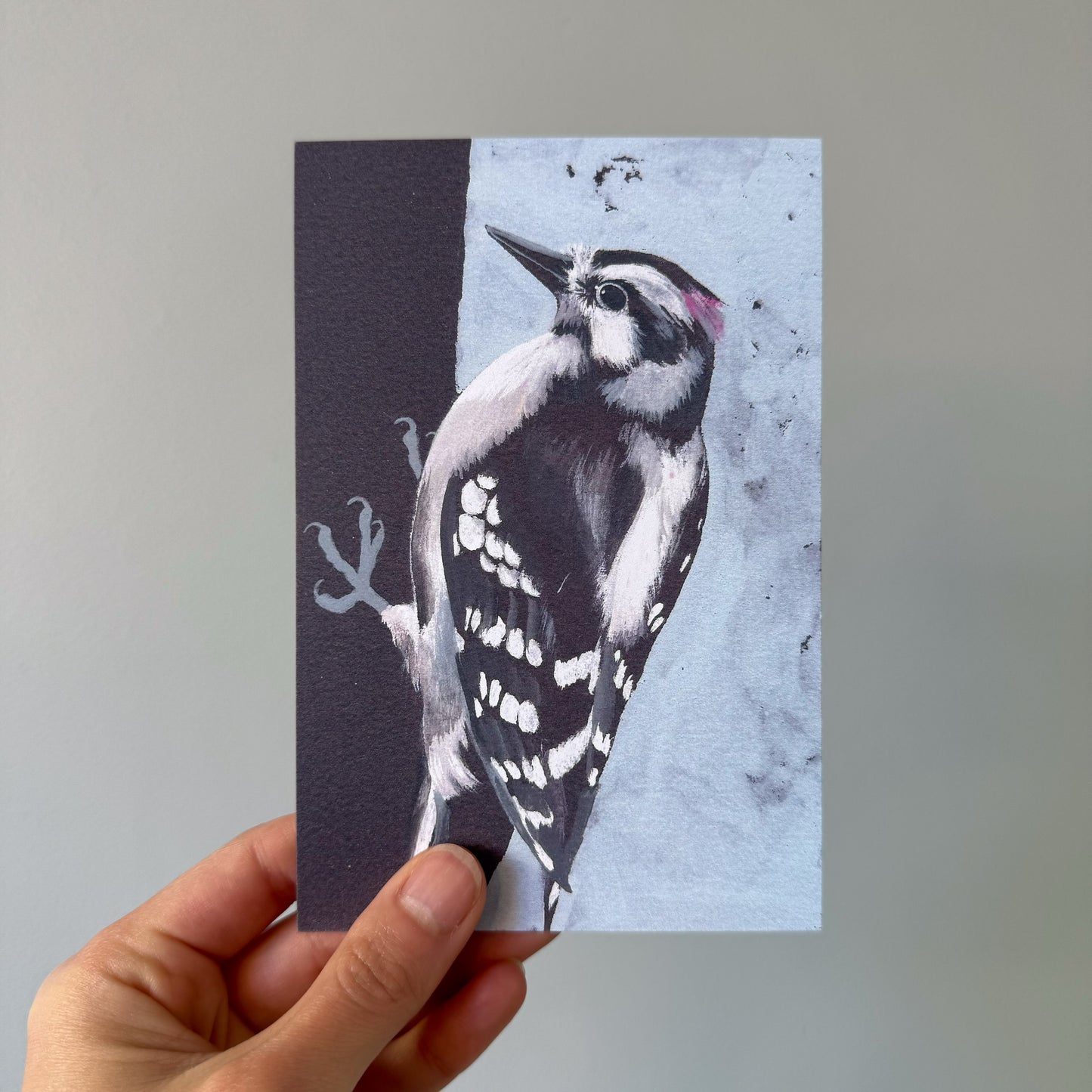 Downy Woodpecker 5 recycled art postcards set