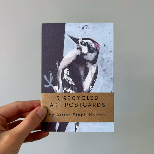Downy Woodpecker 5 recycled art postcards set