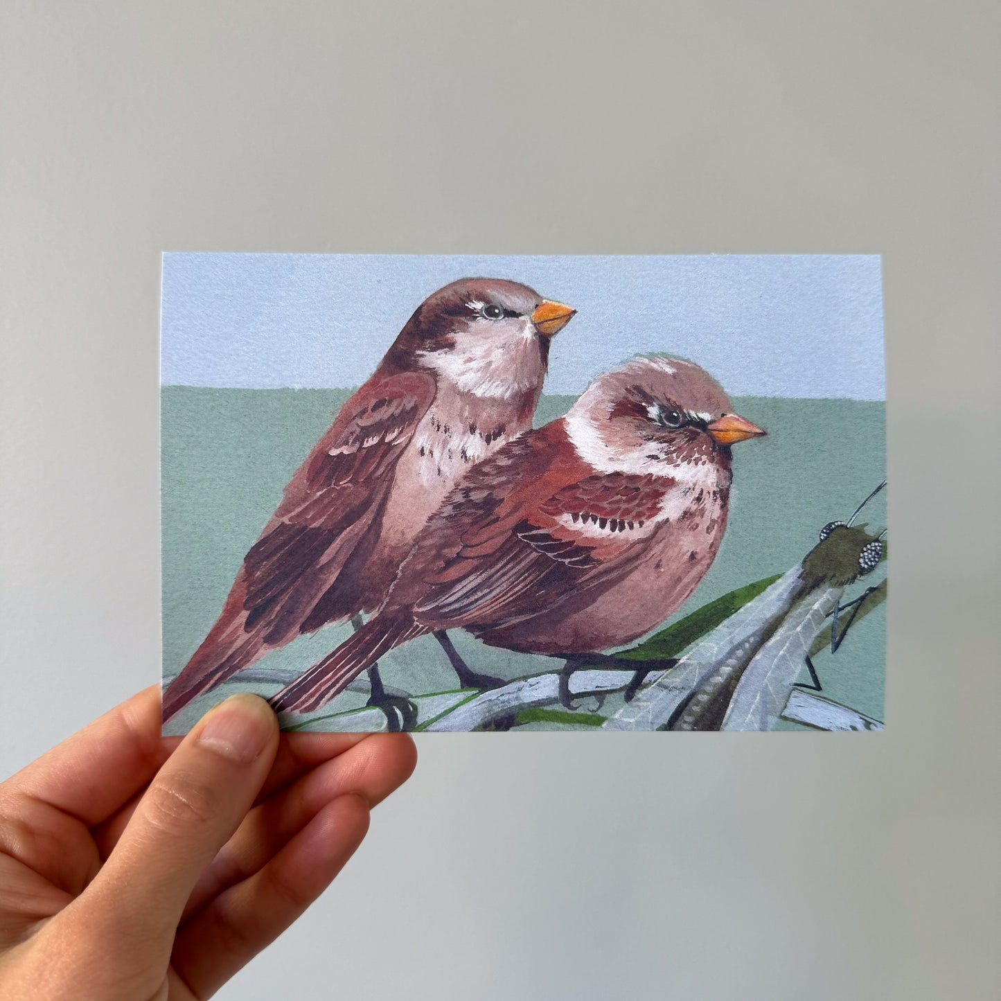 House Sparrows 5 recycled art postcards set