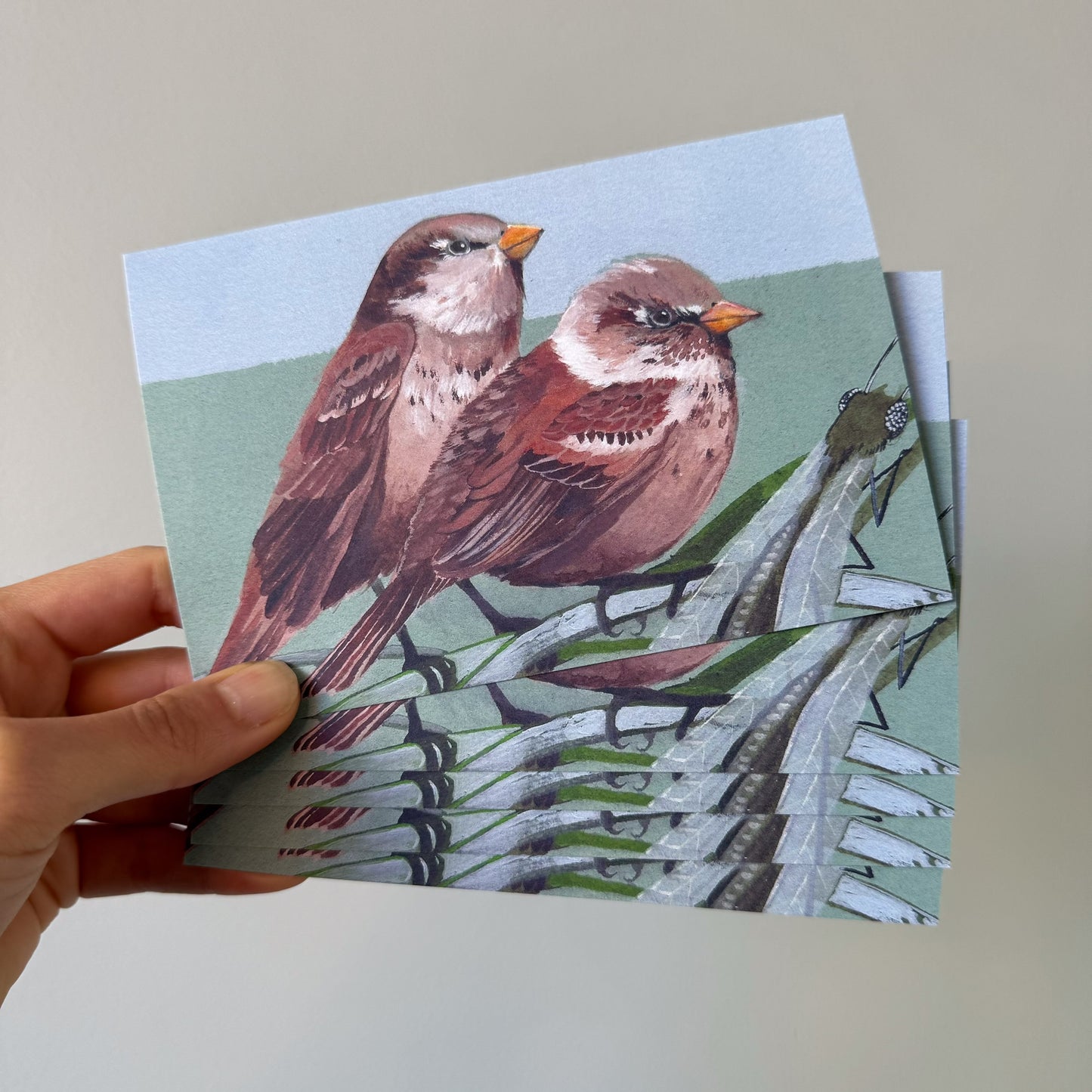 House Sparrows 5 recycled art postcards set