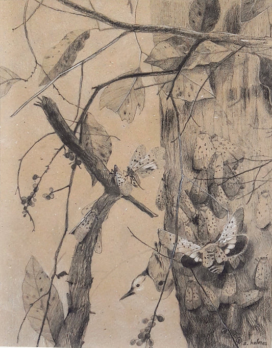 Lanternflies In Season framed charcoal drawing