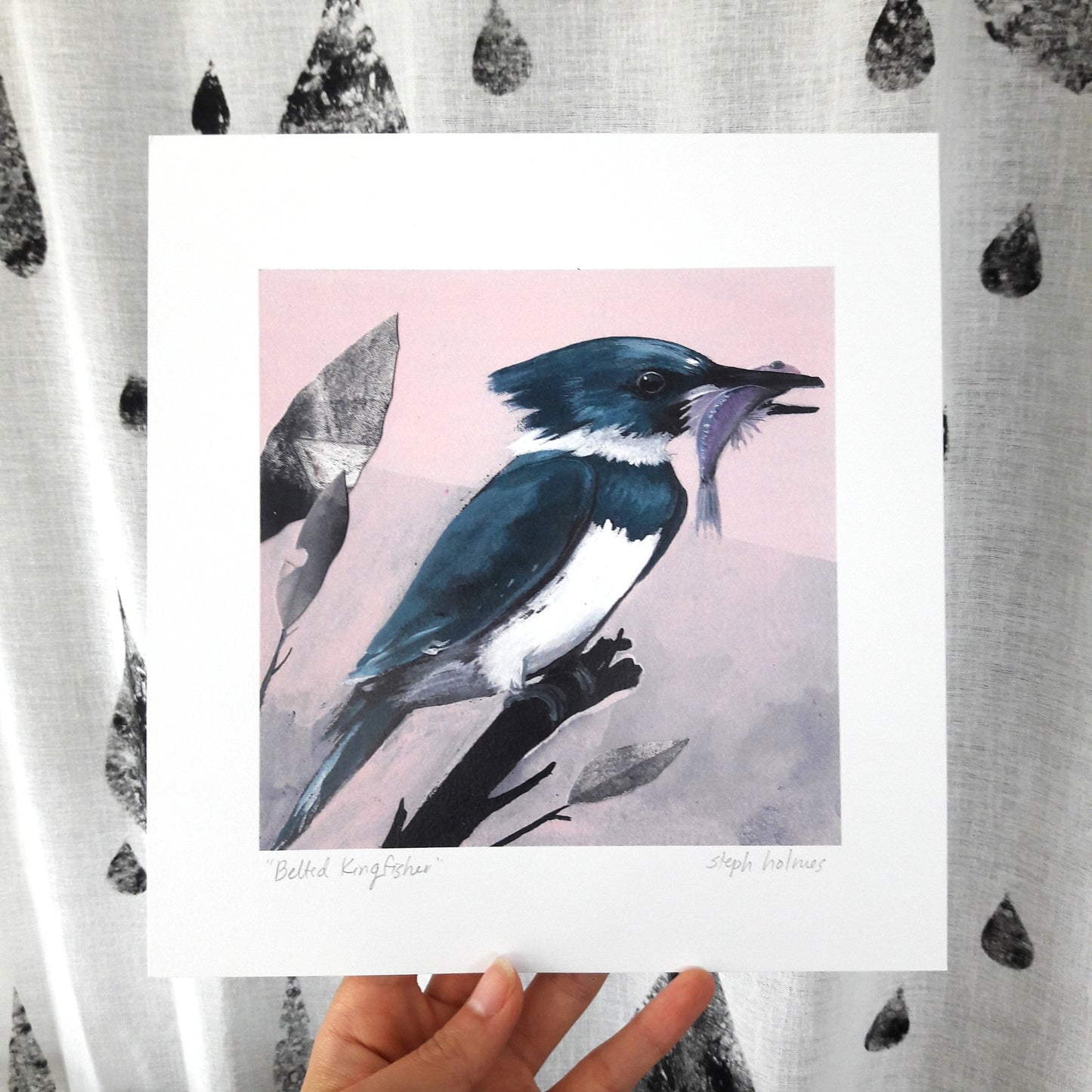 Belted Kingfisher print