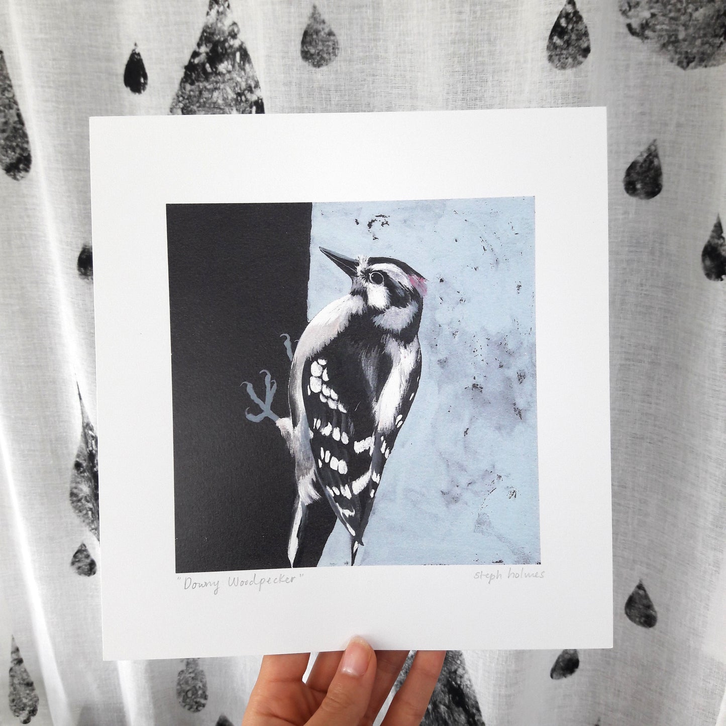 Downy Woodpecker print