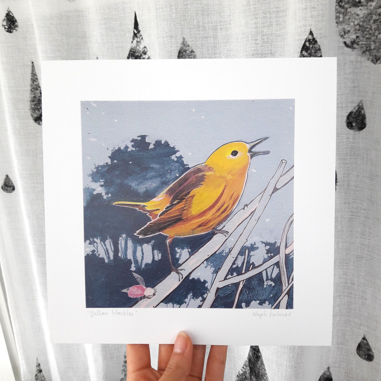 Yellow Warbler print