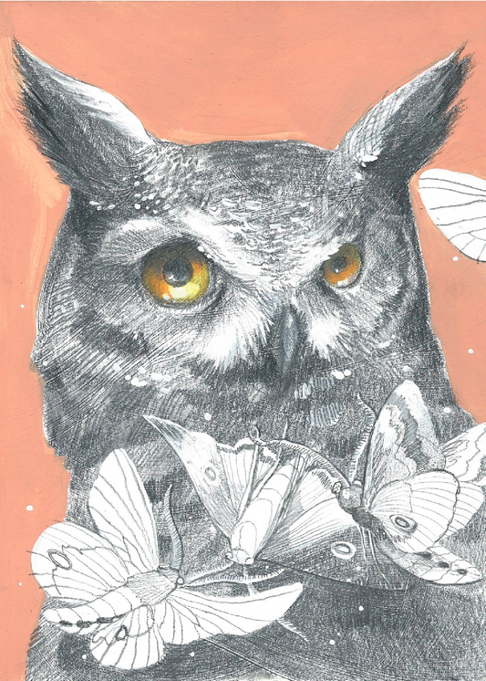 Dream Visitors: Owl and Moths print