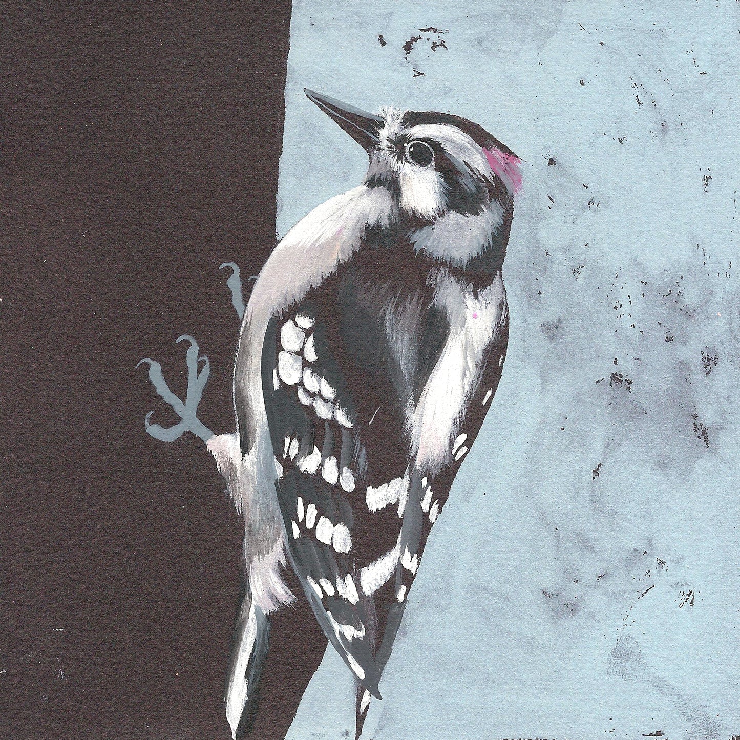 Downy Woodpecker print