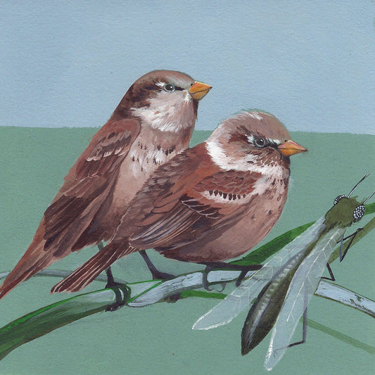 House Sparrows print