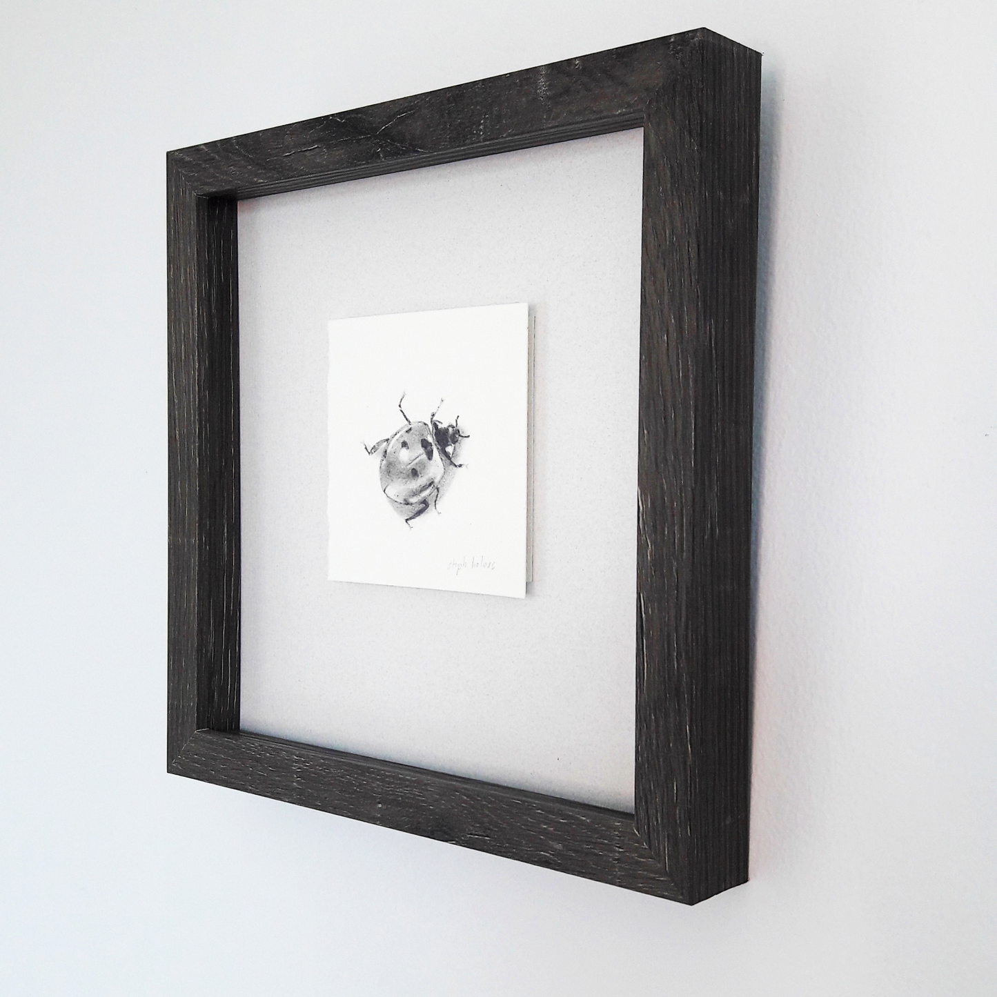 Ladybug II framed drawing