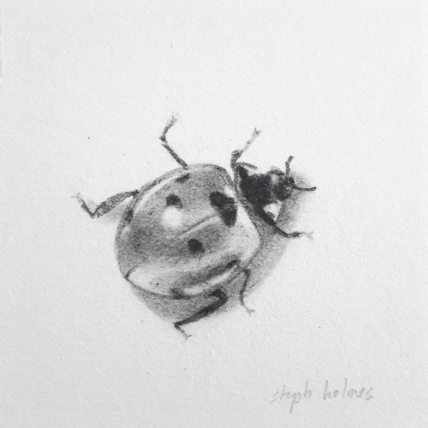 Ladybug II framed drawing